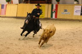 Appi_20EM_b407-_20SB117.JPG